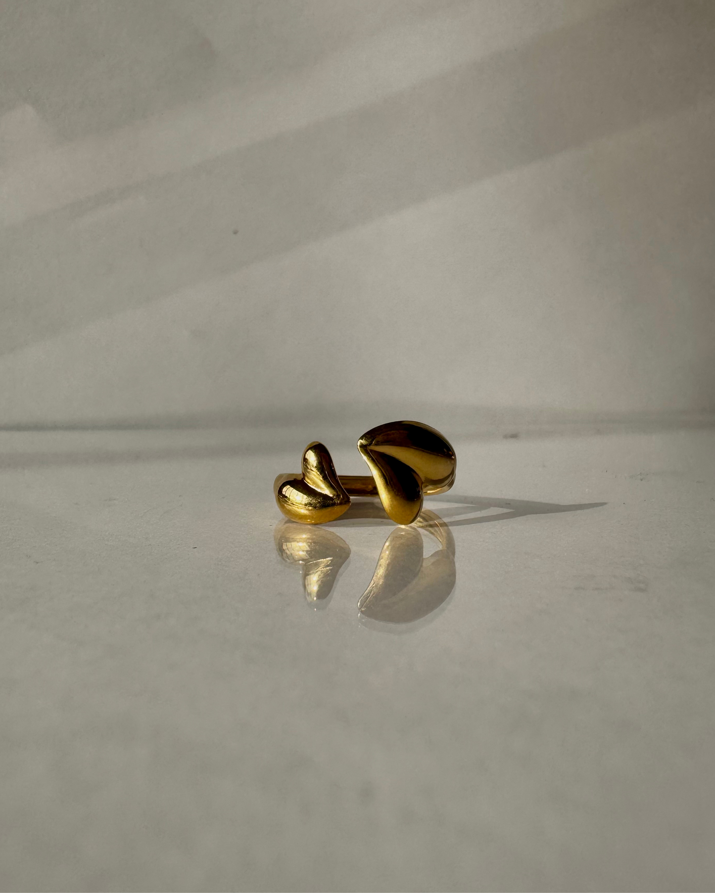 Anillo “Love²”