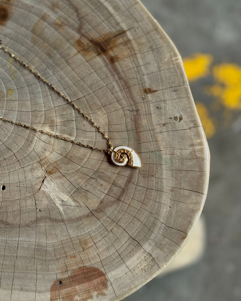 Shell